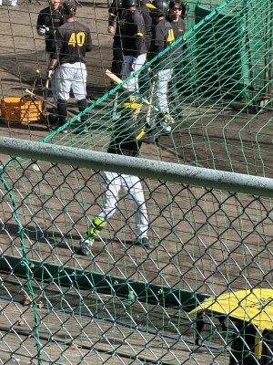 た