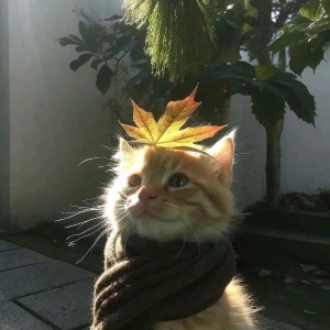 ちびトラ